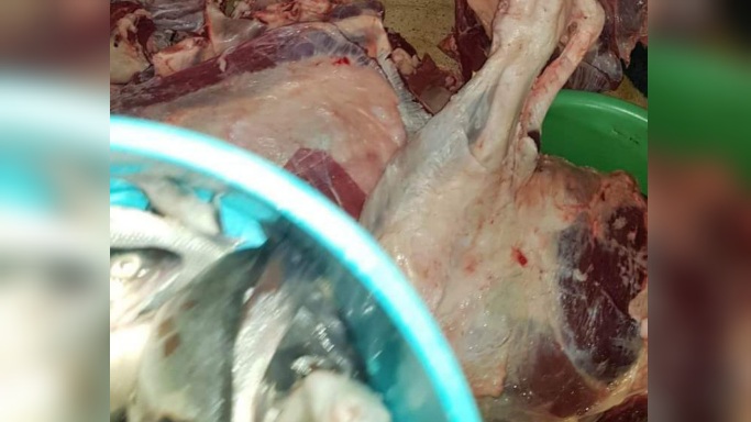 Gafsa: Saisie de 100 Kg de viande rouge impropres à la consommation