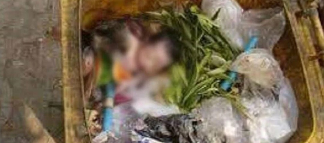Tunisie – Kasserine : Le cadavre d’un nouveau-né jeté aux ordures