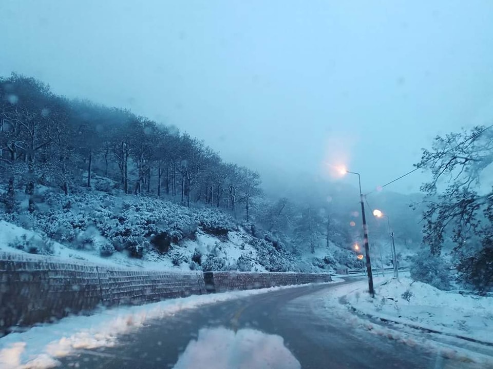 La neige couvre Aïn Draham de son blanc manteau (Photos)