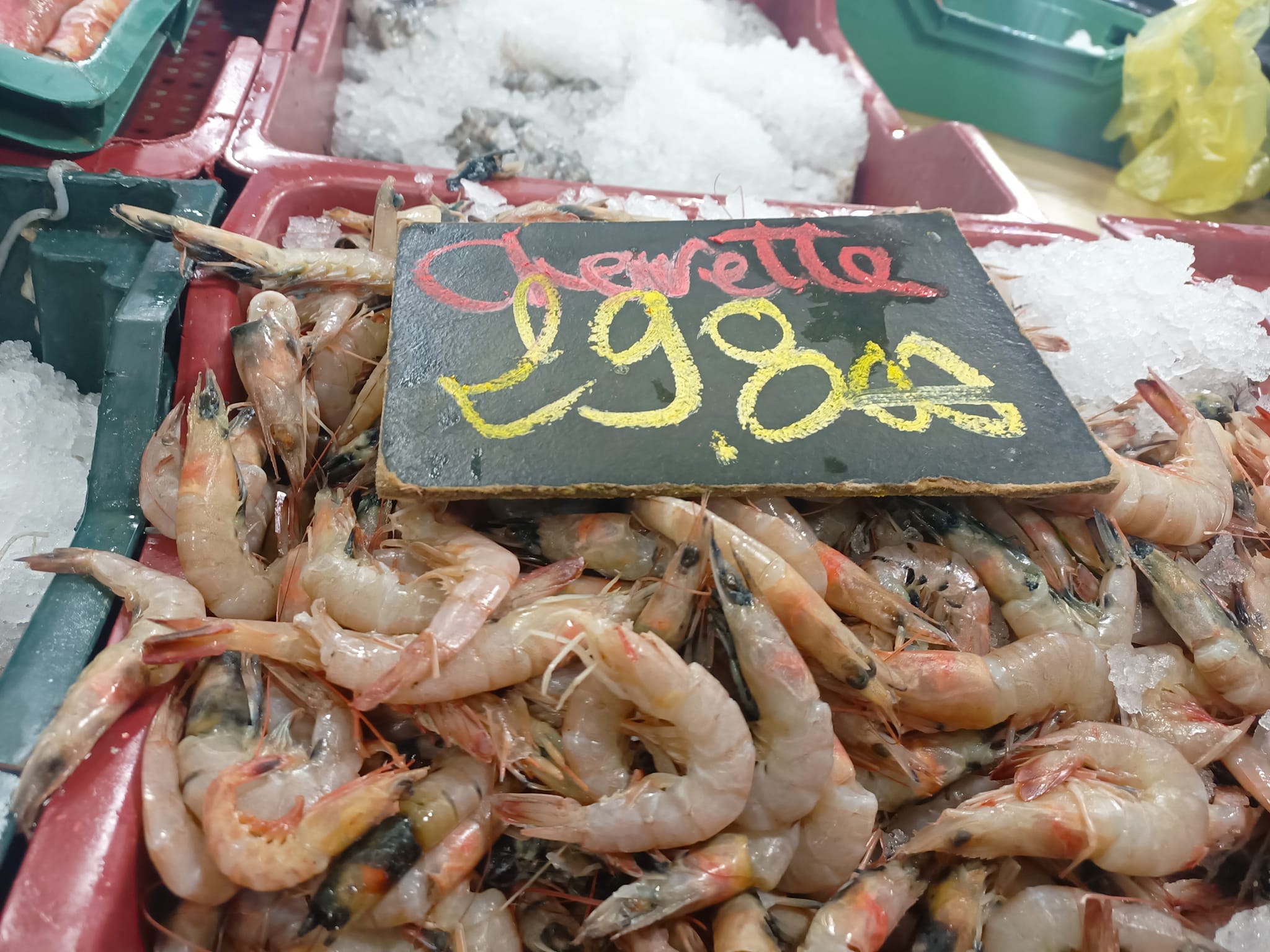 Kasserine: Prix de poissons et légumes au marché municipal [Photos]