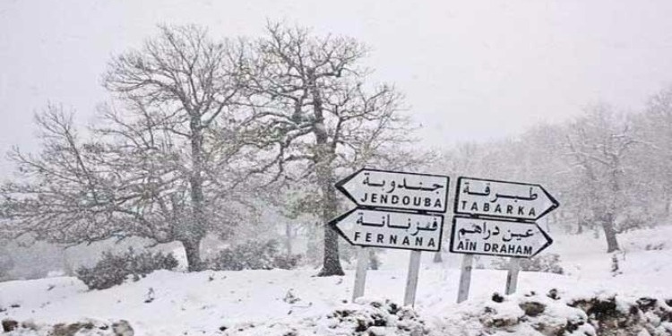 Jendouba: Les chutes de neige provoquent le blocage de la route reliant Tabarka à Aïn Drahem