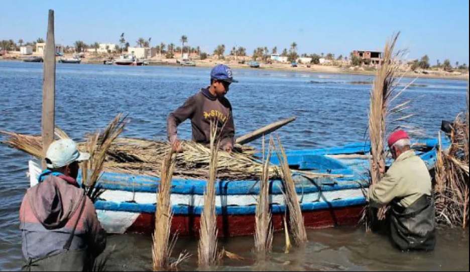 Rapport – L’économie bleue contribue pour près de 14% au PIB de la Tunisie