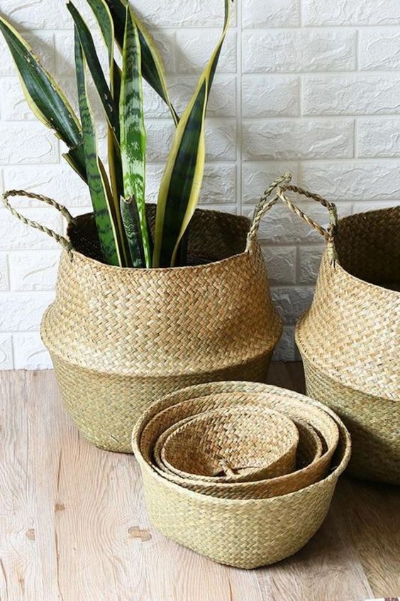 Tendance déco : les caches pots