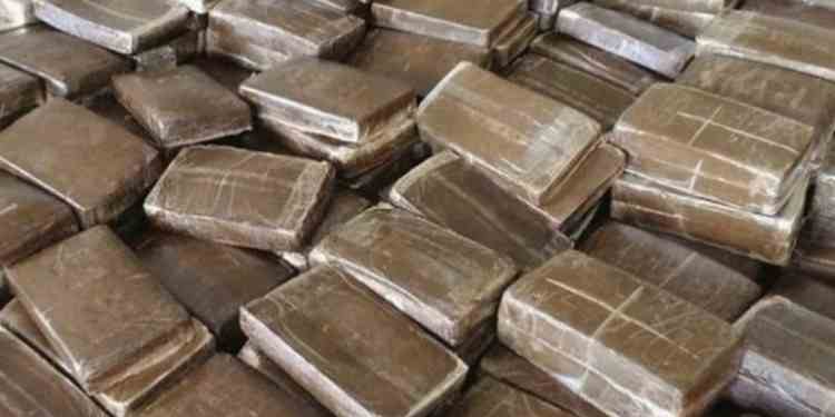 Saisie majeure de cannabis au port de Bizerte: 80 kg interceptés