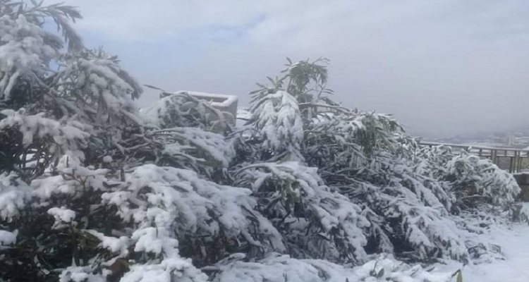 Tunisie : Chutes de neiges sur les localités de la région de Kasserine
