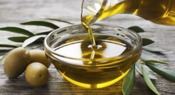 PLF 2024: Nouvelle taxe de 4% sur l’exportation de l’huile d’olive vierge lampante en vrac et brute