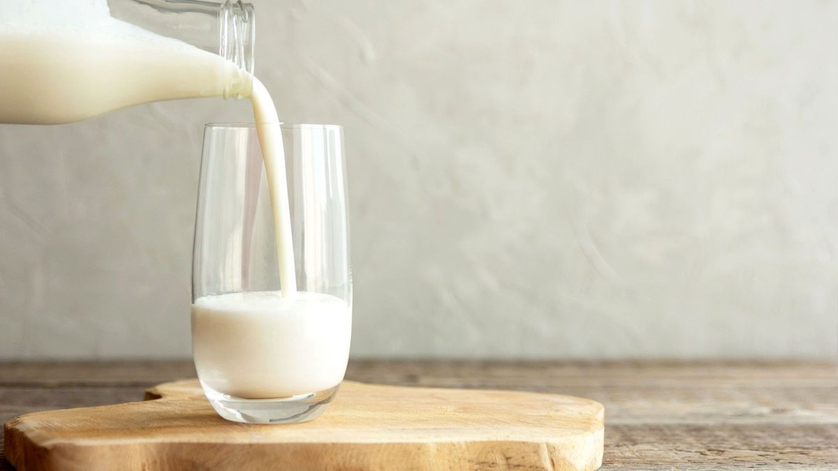 La Tunisie ne dispose pas d’un stock stratégique de lait durant le Ramadan, selon Ali Klebi