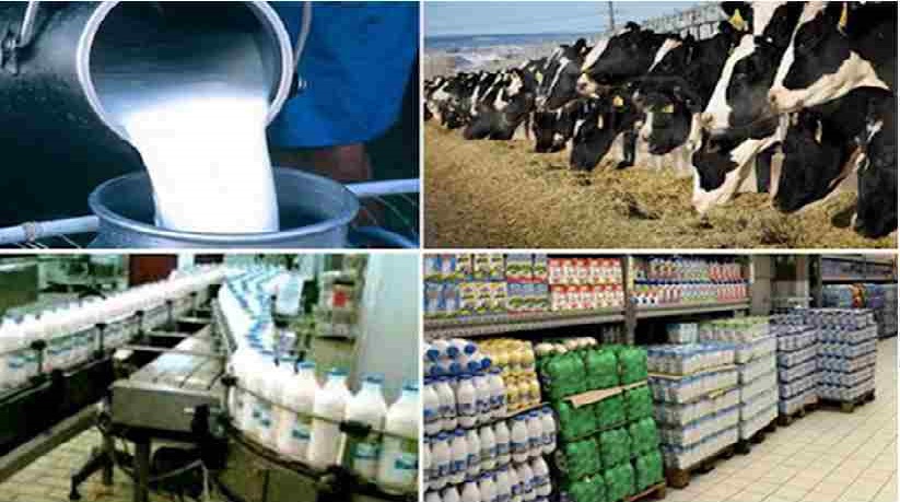 Tunisie : On accusera un manque d’un million de litres de lait par jour pendant Ramadan