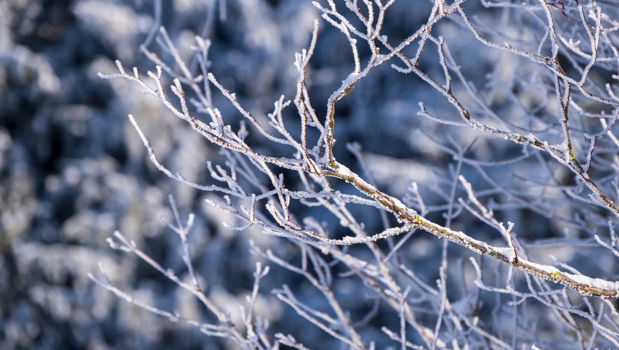 Tunisie – METEO : Froid, pluies et neige au menu de cette