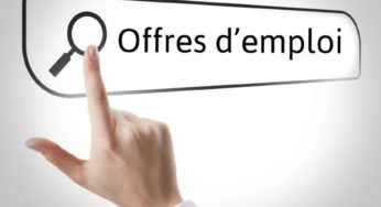Tunisie : Démarrage de l’inscription en ligne des demandeurs d’emploi dans les bureaux de l’ANETI