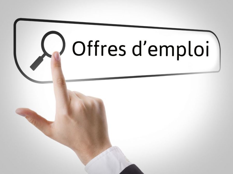 Tunisie : Démarrage de l’inscription en ligne des demandeurs d’emploi dans les bureaux de l’ANETI