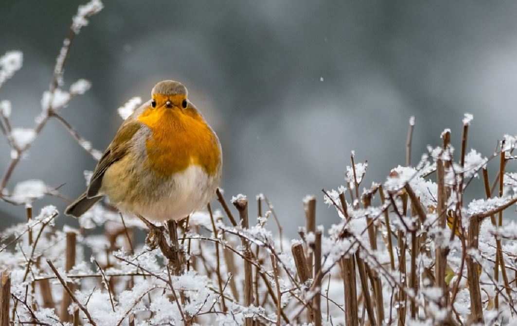 Météo de ce mardi