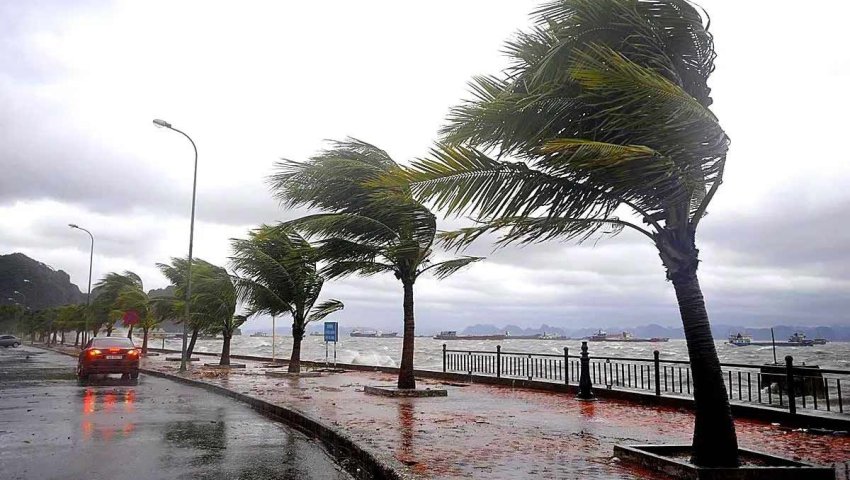 Alerte Météo: Vents forts pouvant atteindre les 100 km/h