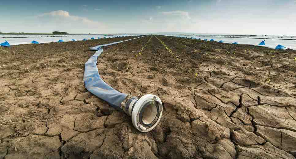 L’expert Abdallah Rebhi appelle à décréter l’état de sécheresse dans le pays