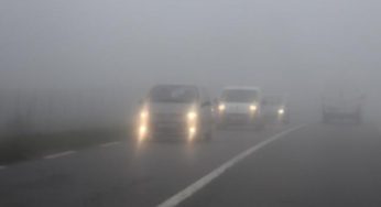 Alerte météo : un épais brouillard enveloppe la Tunisie ce week-end