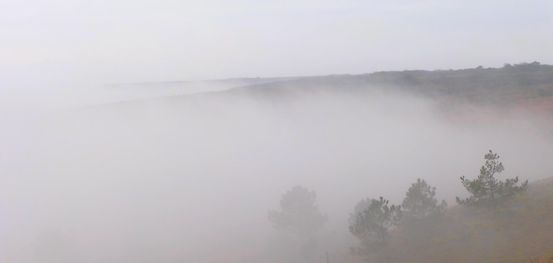Tunisie – METEO : Des pluies orageuses sur les parties ouest et sur le sud du pays