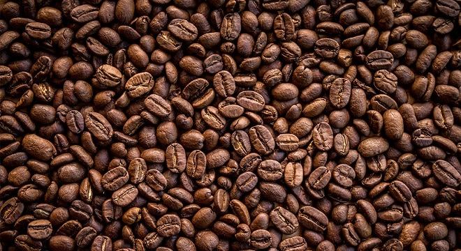 Ben Arous: Saisie de plus de 46 tonnes de café