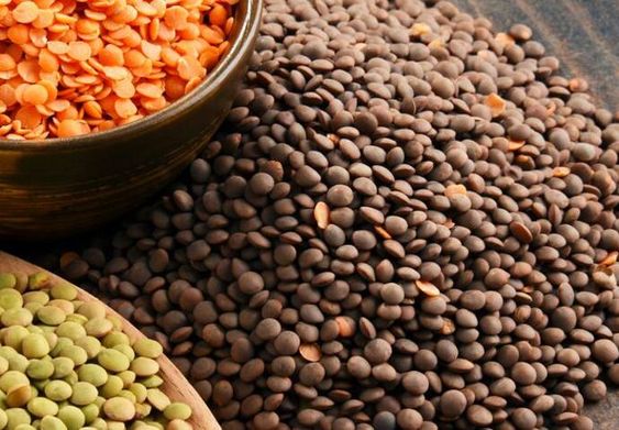 Lentilles : bienfaits d’une légumineuse sans gluten
