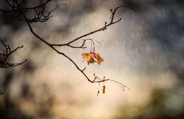 Météo de ce samedi 8 avril 2023