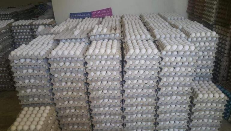 La Tunisie dispose d’un stock de 14 millions d’œufs