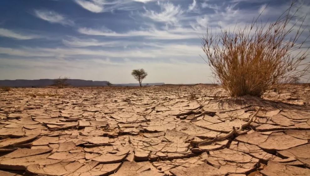 Agriculture- Catastrophes naturelles: La facture de la sécheresse explose