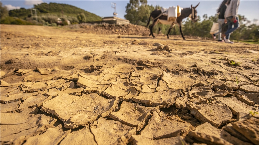 Tunisie – Météo : Le mois de décembre a été le plus chaud et le plus sec depuis 1950