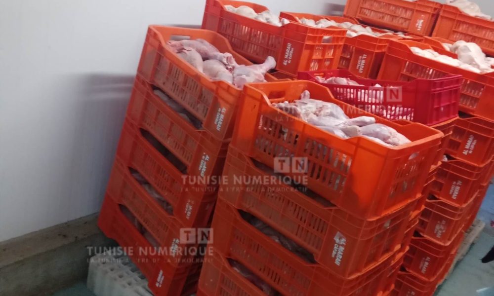 Nabeul: Saisie de plus de 2 tonnes de viande de volaille d’origine inconnue (Photos)