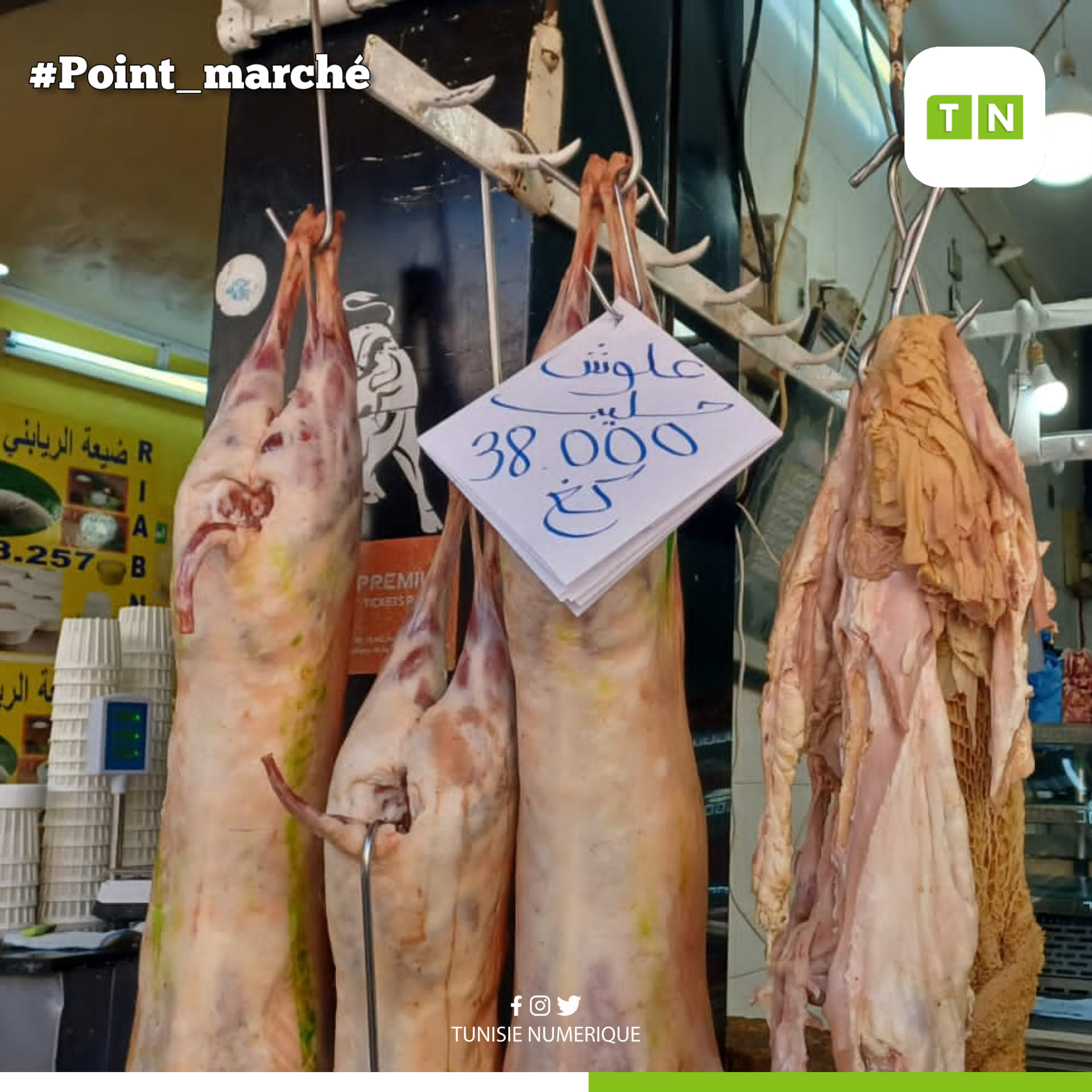 Beja: Prix au marché municipal [Photos]