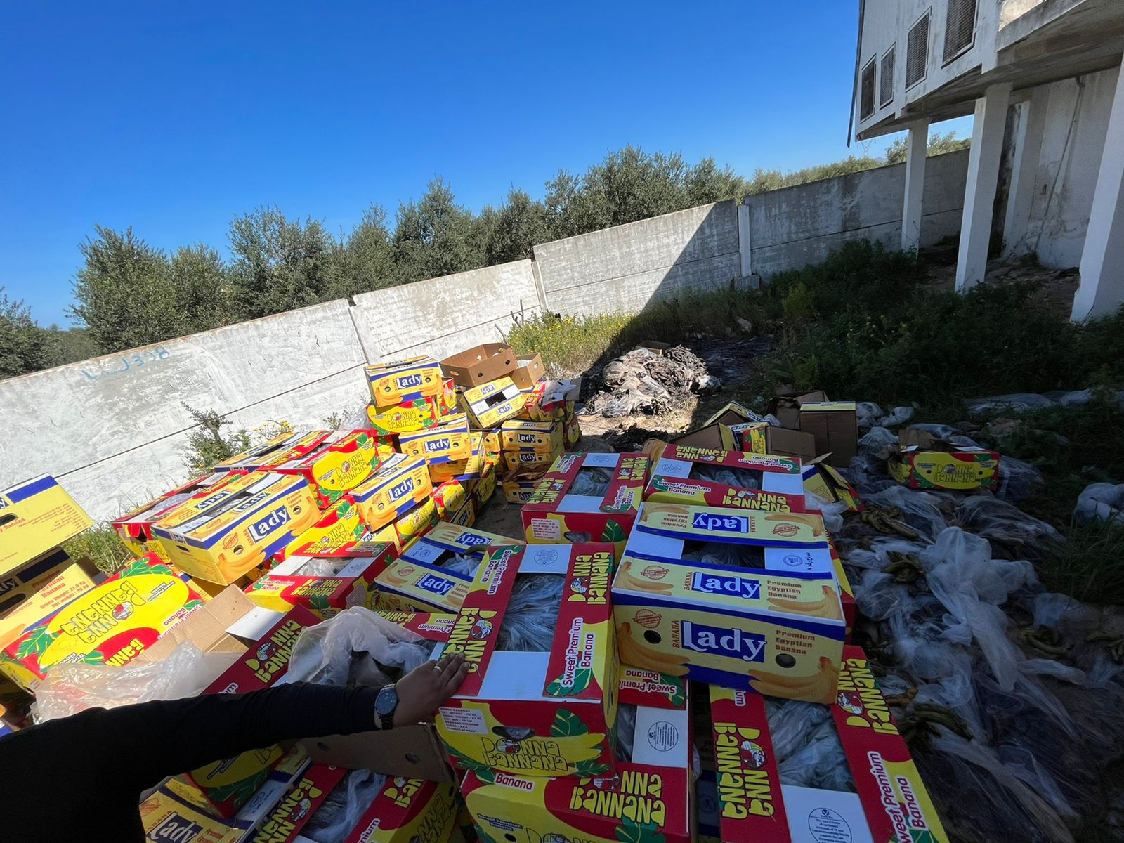 Ben Arous: Saisie de 56 tonnes de bananes dans deux entrepôts clandestins (Photos)