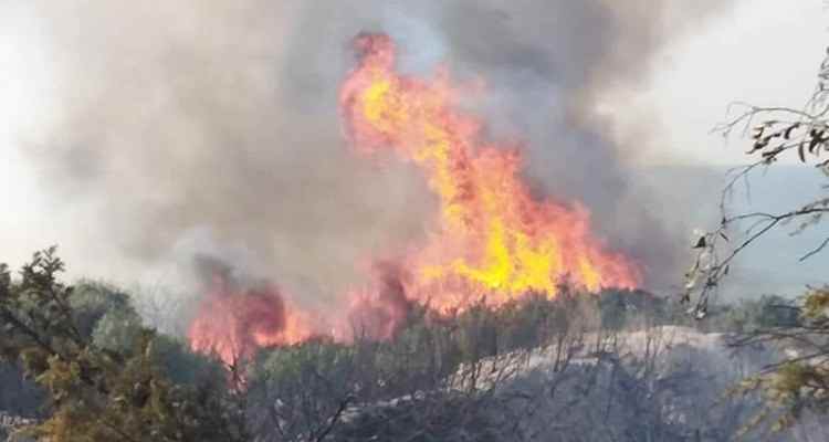 Kasserine: Les flammes ont ravagé un champs de 400 pommiers