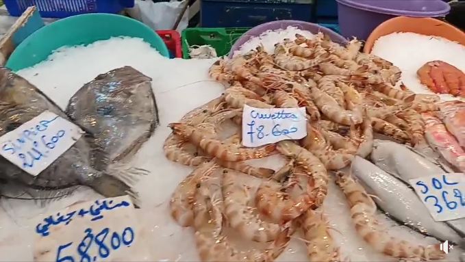 Sousse: Les prix décollent, ceux de la crevette ont atteint 78 dinars le kg (Vidéo)