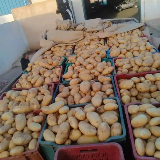 Manouba: Saisie de 8 tonnes de pommes de terre dans des dépôts anarchiques