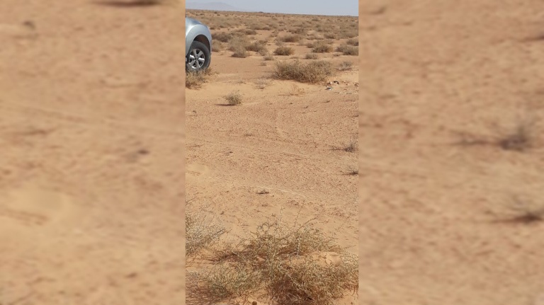 L’Etat récupère 06 terrains domaniaux agricoles totalisant 50 he à Sidi Bouzid