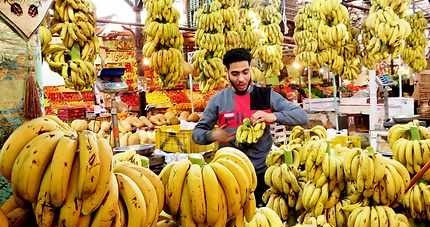 Tunisie – Les pommes de terre et les bananes égyptiennes sont saines et propres à la consommation