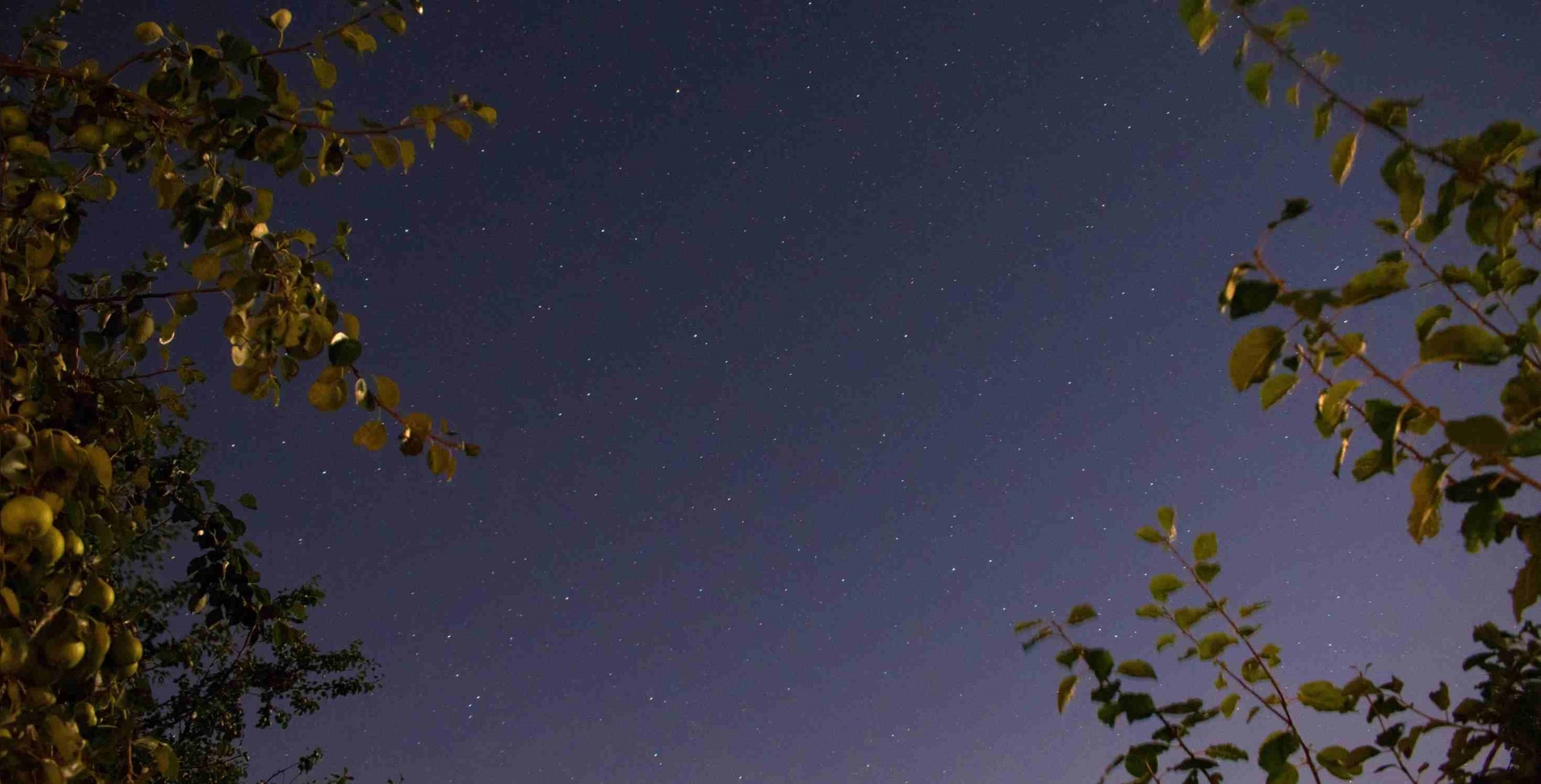 Tunisie – METEO : Ciel clair températures entre 12 et 20°