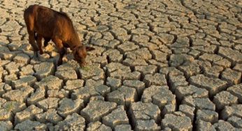 Climat : Le rapport du Giec intéressera beaucoup la Tunisie