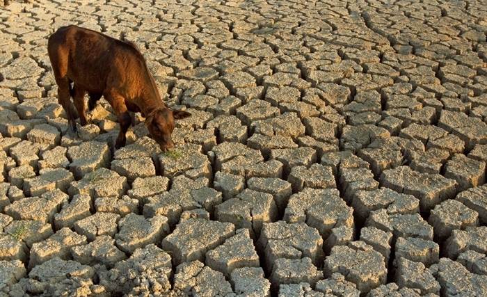 Climat : Le rapport du Giec intéressera beaucoup la Tunisie