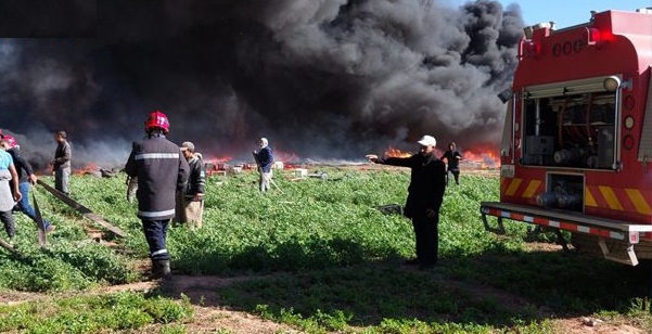 Tunisie – Un incendie détruit une ferme de pommiers à Kasserine