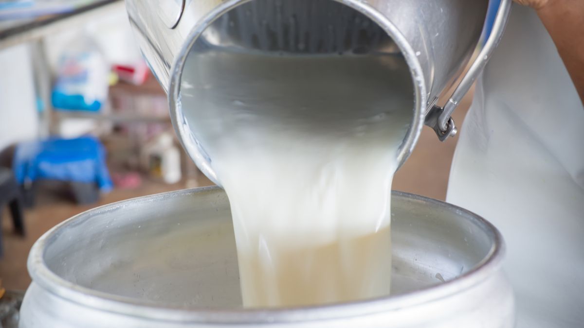 Le ministère de l’Agriculture dément la commercialisation du lait contenant des matières cancérigènes