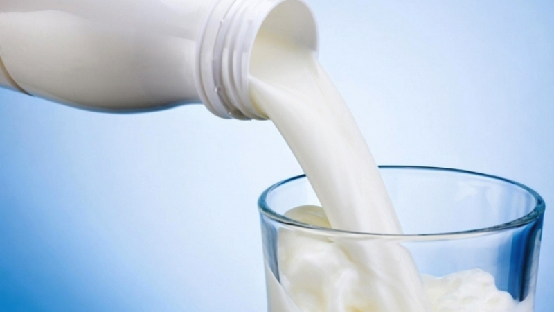 Le président du syndicat des agriculteurs annonce une hausse de la production du lait