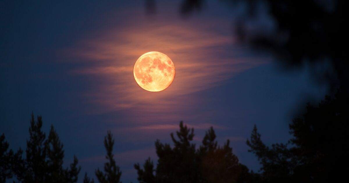 Tunisie – METEO : Les températures en légère hausse et le vent s’essouffle