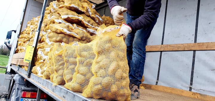 Bizerte: Saisie de 82 tonnes de pommes de terre dans un entrepôt anarchique