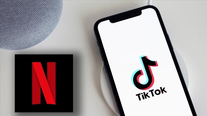 France: Les fonctionnaires n’ont plus le droit d’utiliser TikTok et Netflix