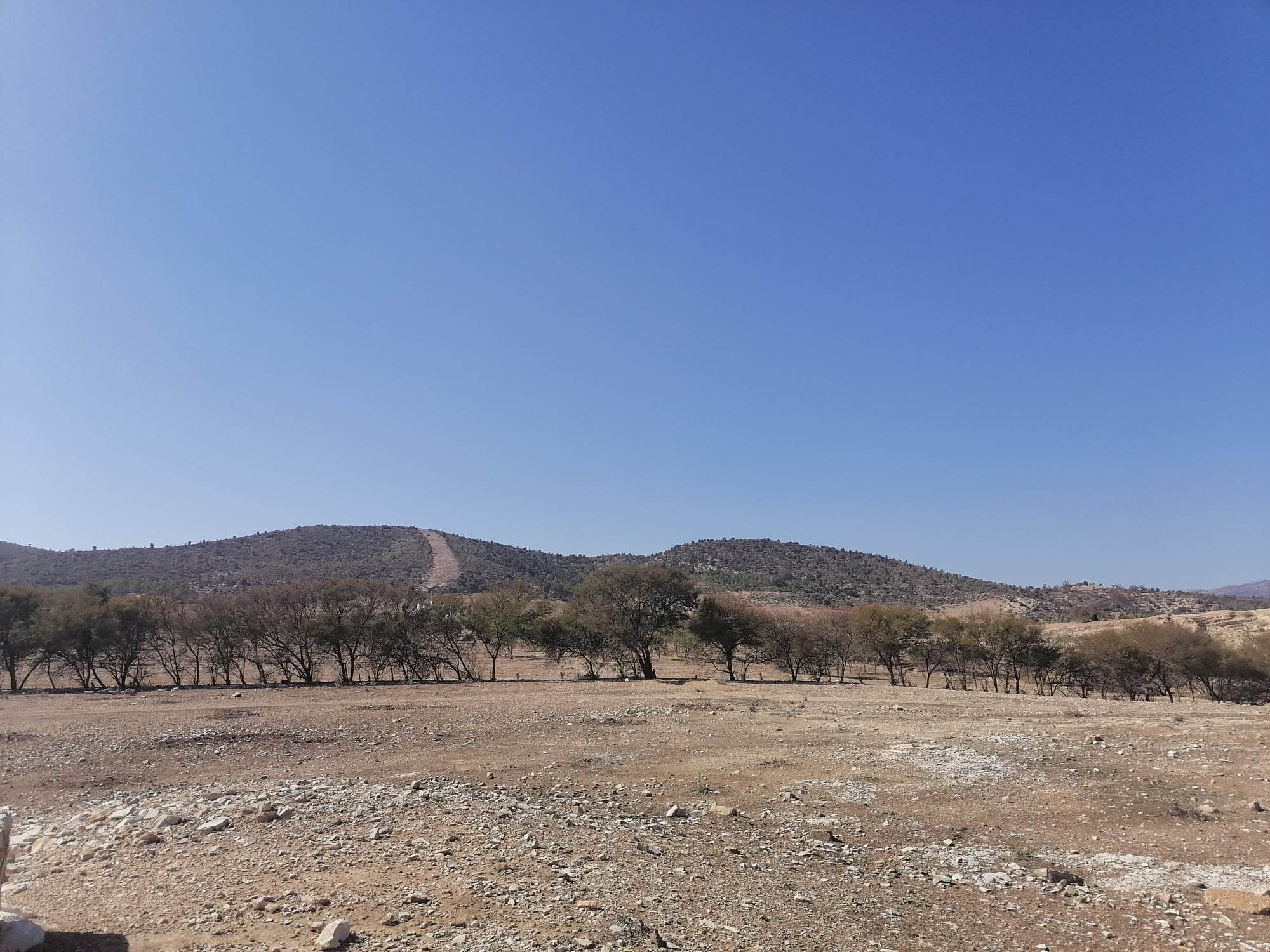Domaines de l’Etat : récupération d’une ferme domaniale agricole d’une superficie de 430 hectares à Zaghouan