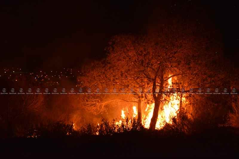 Zaghouan: Un incendie maîtrisé après avoir ravagé 5 hectares de pins d’Alep
