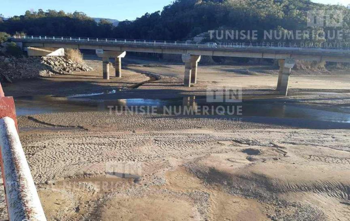 Tunisie-Barrages: Les réserves en eau accusent une baisse de 20,3 %