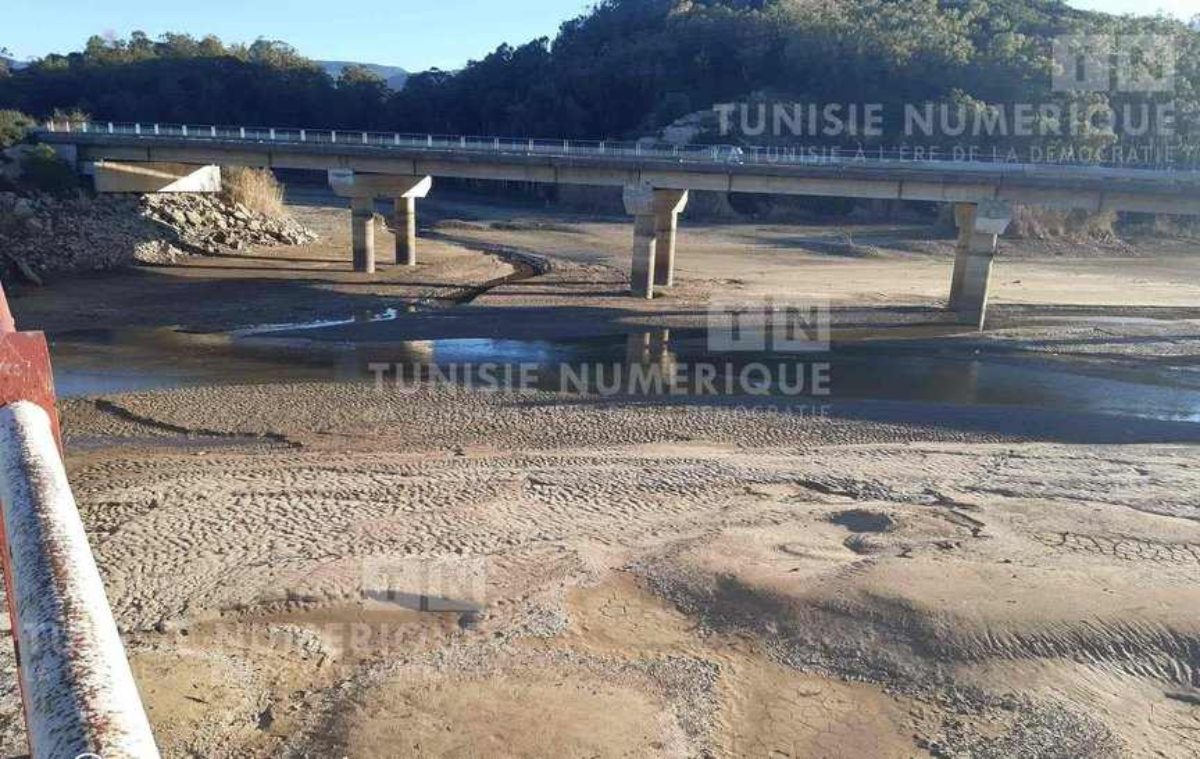 Tunisie-Barrages : Les réserves en eau en chute libre !