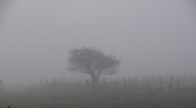 Tunisie – METEO : Brouillard sur le sud du pays