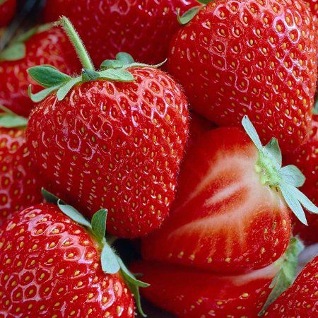 Les bienfaits de la fraise pour la santé des personnes âgées