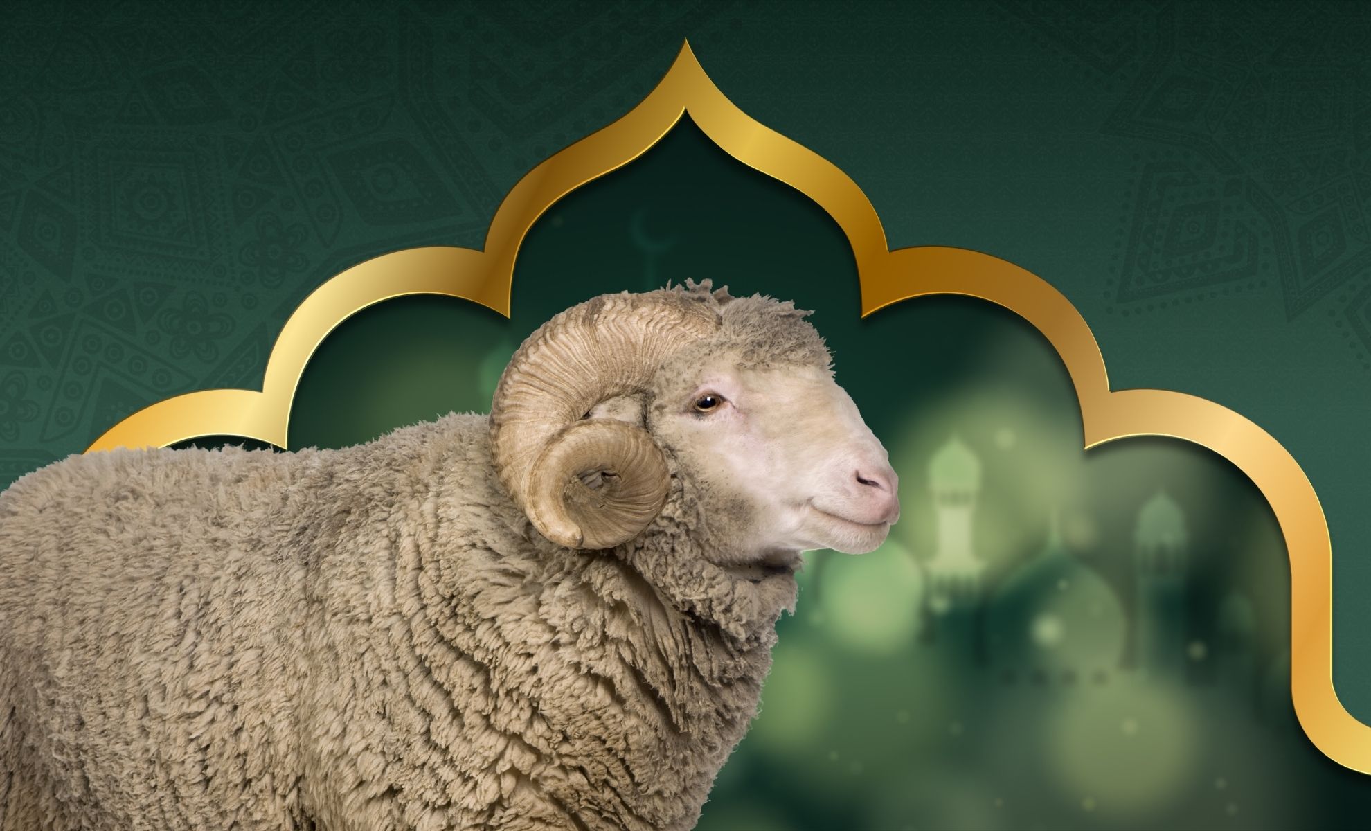 Aïd El Idha: A quel prix est proposé le mouton du sacrifice cette année ?